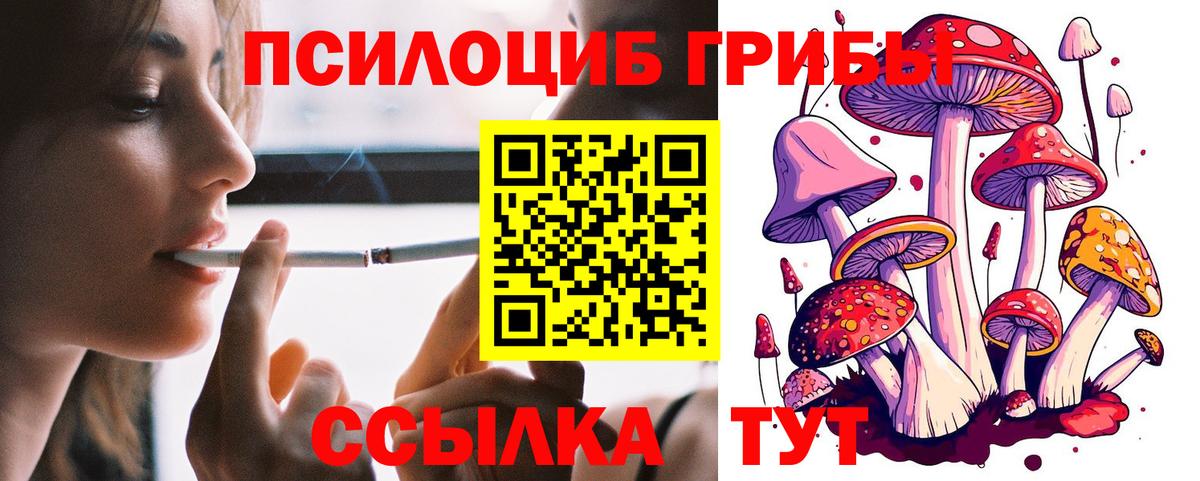 Псилоцибиновые грибы мухоморы Кольчугино
