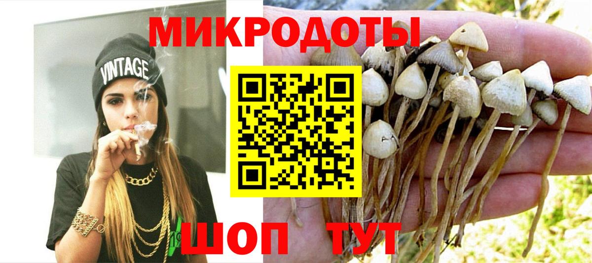 Галлюциногенные грибы Psilocybine cubensis  Вход с VPN  Кольчугино  Псилоцибиновые грибы мицелий 